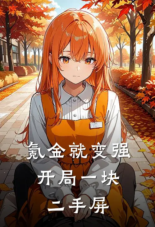 氪金就变强：开局一块二手屏