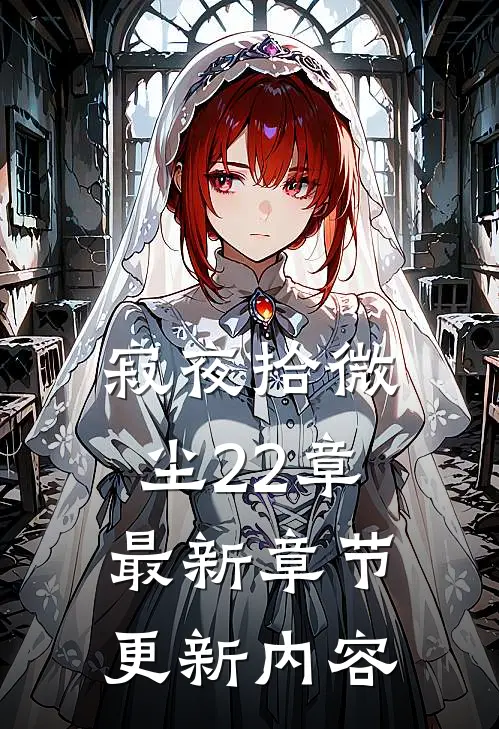 寂夜拾微尘22章最新章节更新内容
